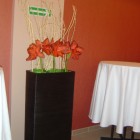 Hotel & Spa Kudowa
