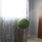 Hotel Tychy 2