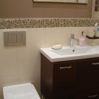 Spokojny funkcjonalizm Apartament Tychy
