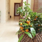 Naturalny komfort Dom Wrocław