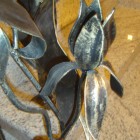 Restauracja Irys Tychy