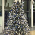 Salon Volvo dekoracja Katowice