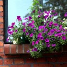 Śmietankowe wnętrze z cegłą w tle Dom Tychy